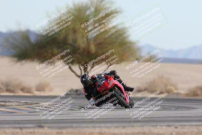 media/Nov-30-2025-TrackXperience (Sun) [[c0061d280f]]/2-Level 2/Session 6 Turn 4 Tree of Life/